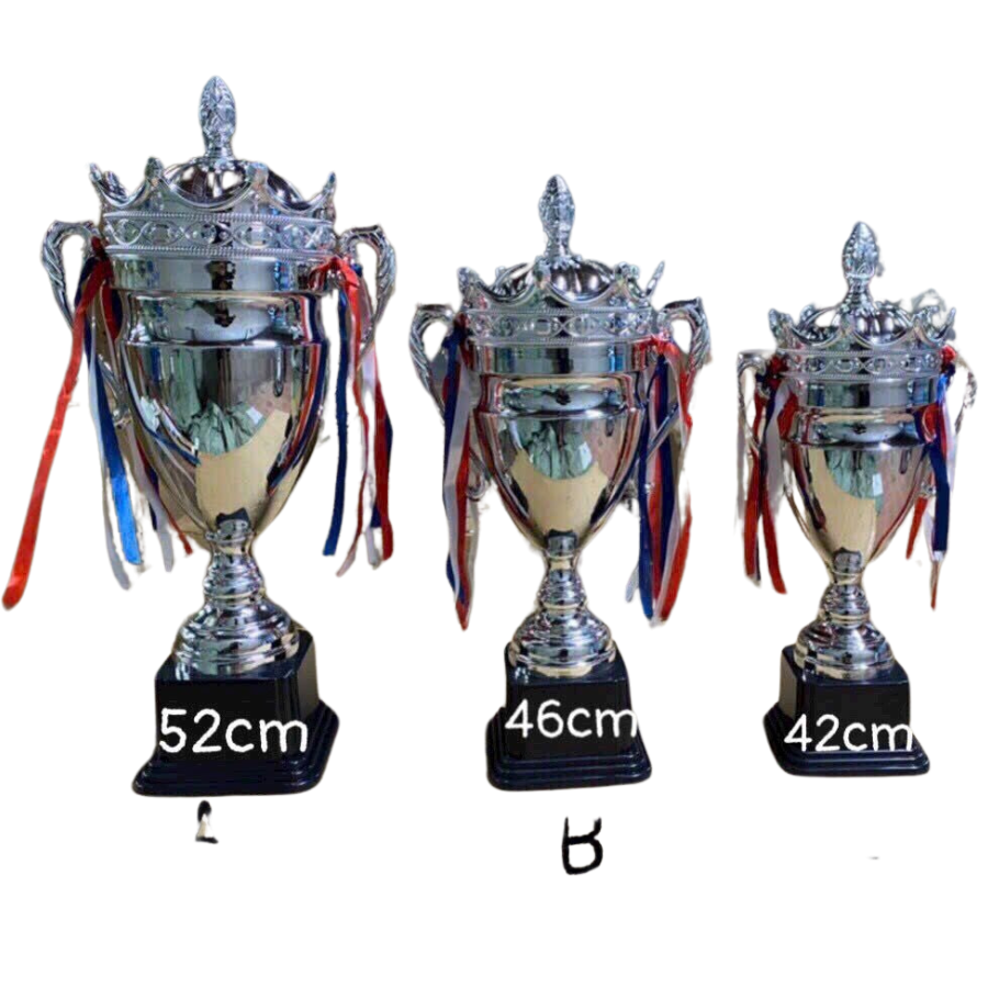 Cúp thể thao Bạc 922