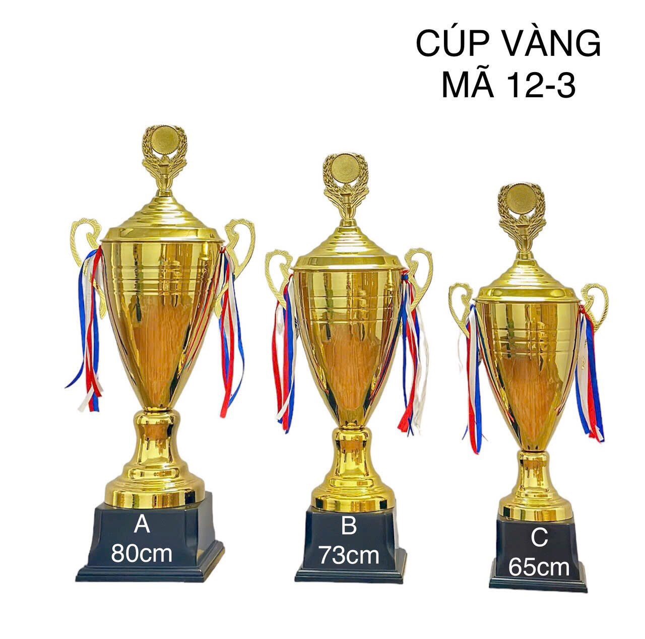 Cúp thể thao Vàng 12-3