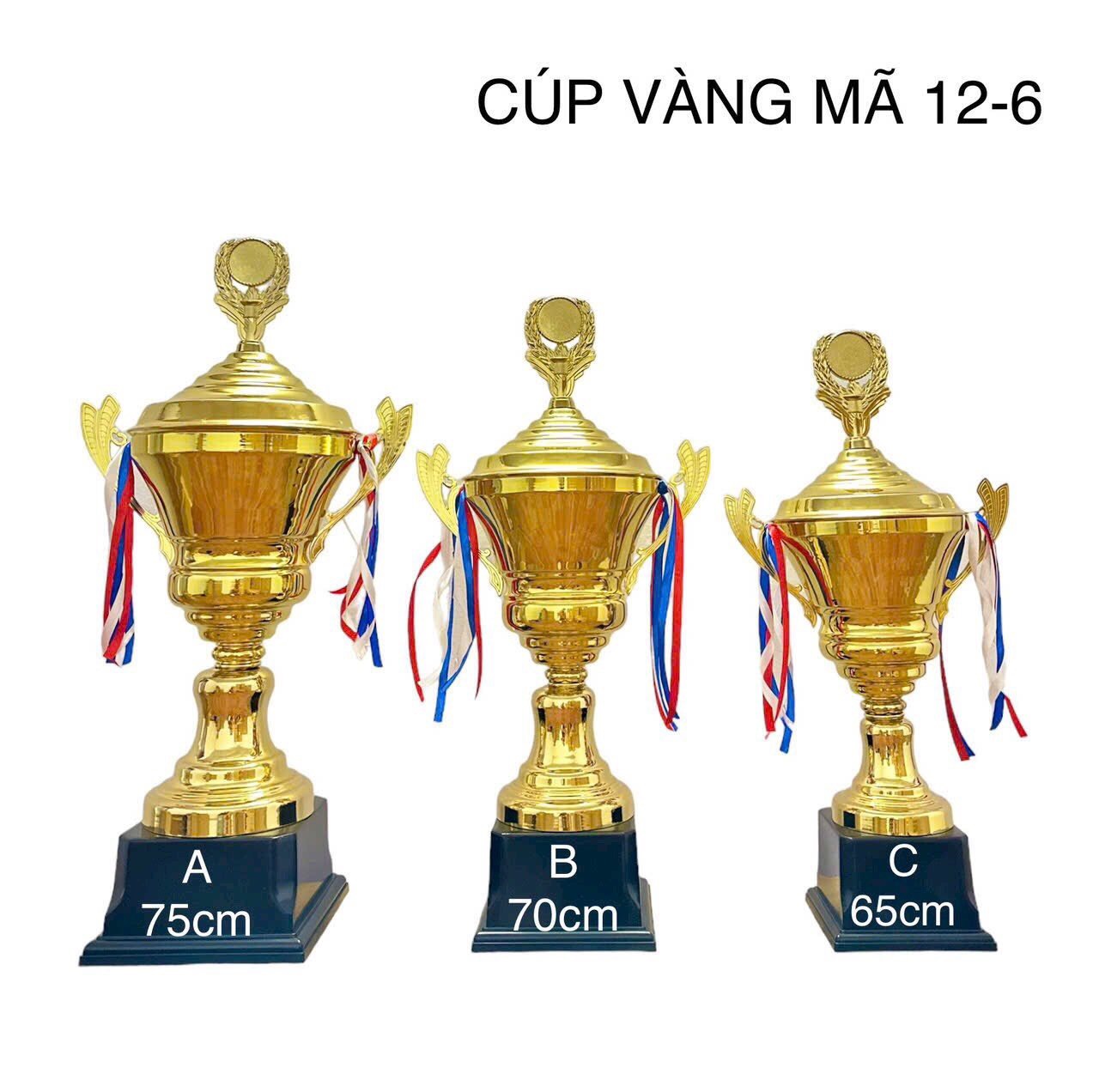 Cúp thể thao Vàng 12-6