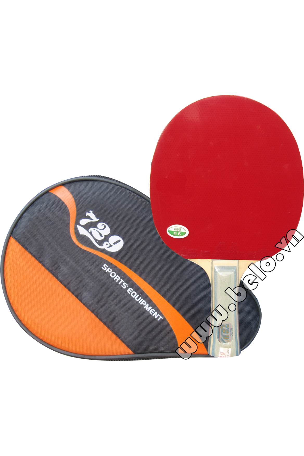 Vợt bóng bàn 729-1060 giá rẻ tại Hà Nội