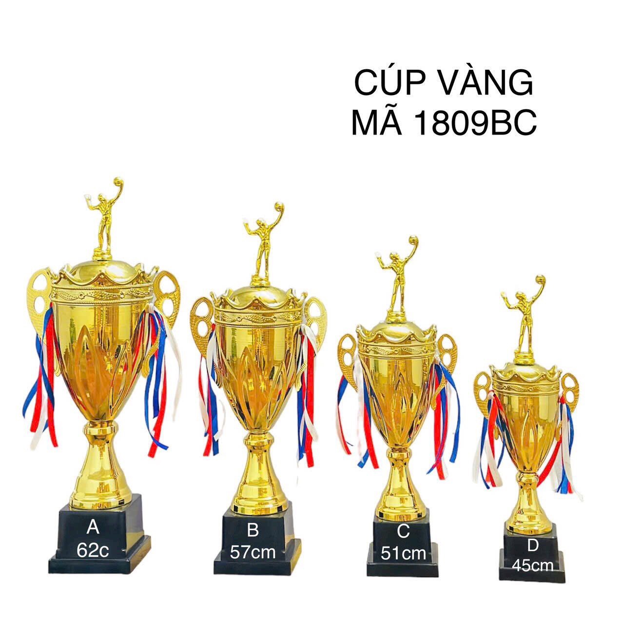 Cúp bóng chuyền Vàng 1809BC