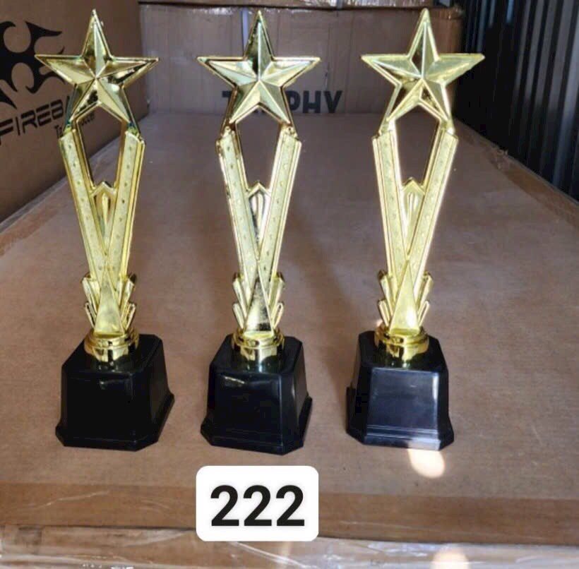 Cúp thể thao Vàng 222