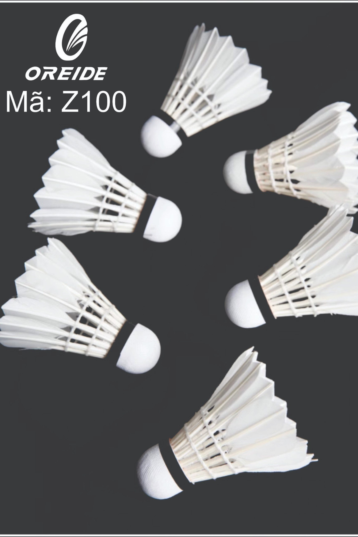 Quả cầu lông OREIDE Z100 6 quả