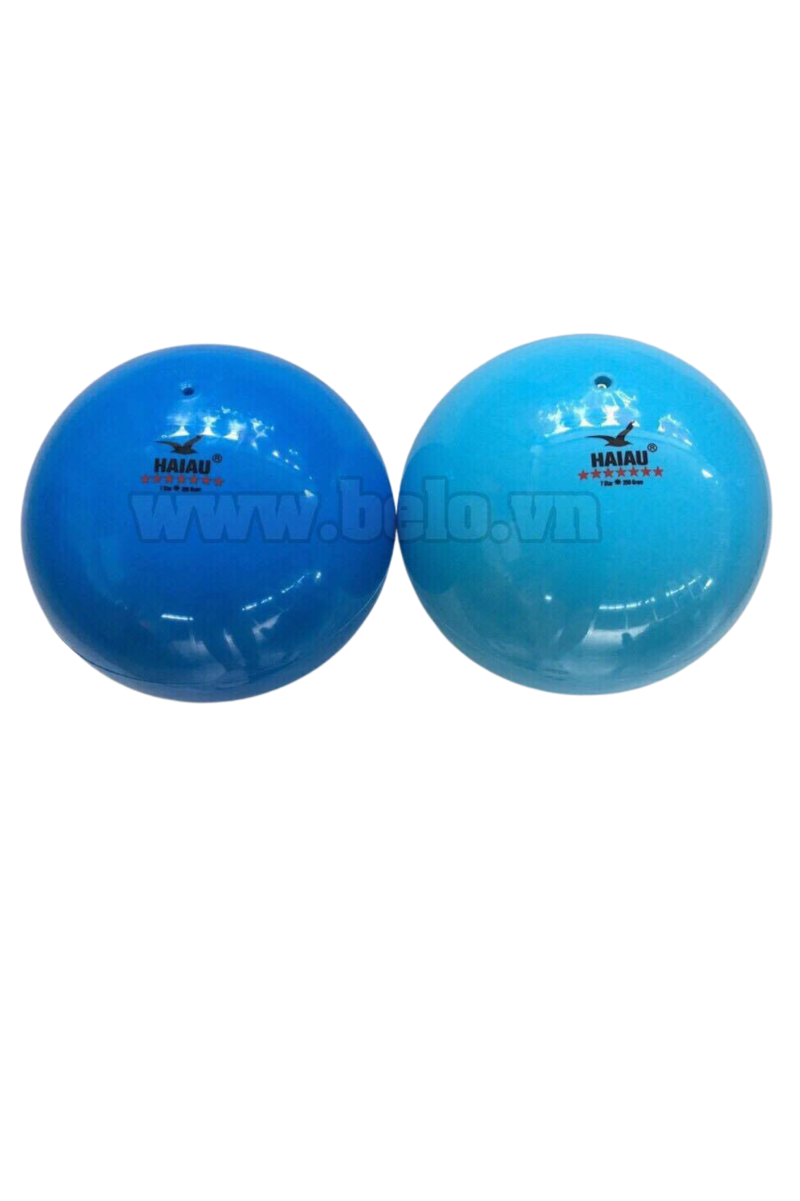 Bóng chuyền hơi Hải âu chính hãng màu xanh