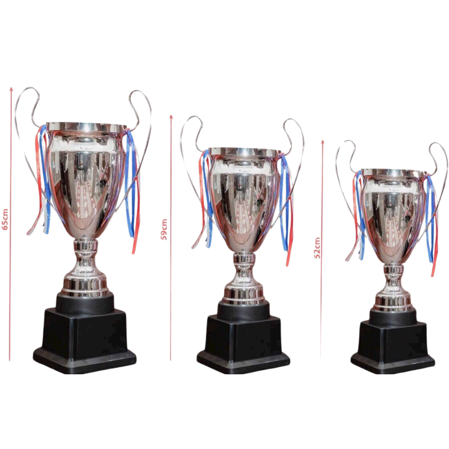 Cúp thể thao Bạc HG