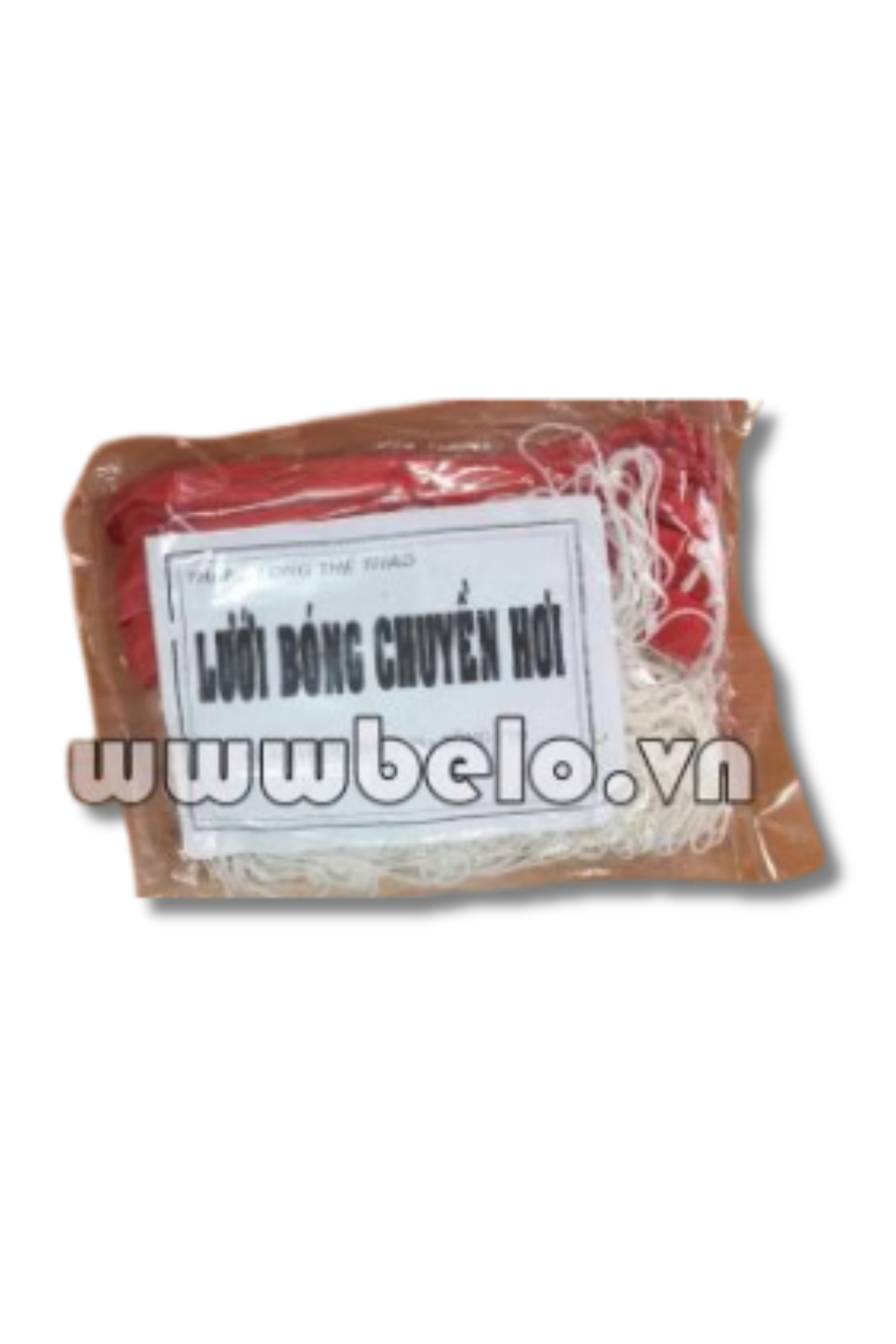 Lưới bóng chuyền hơi lưới dù C02