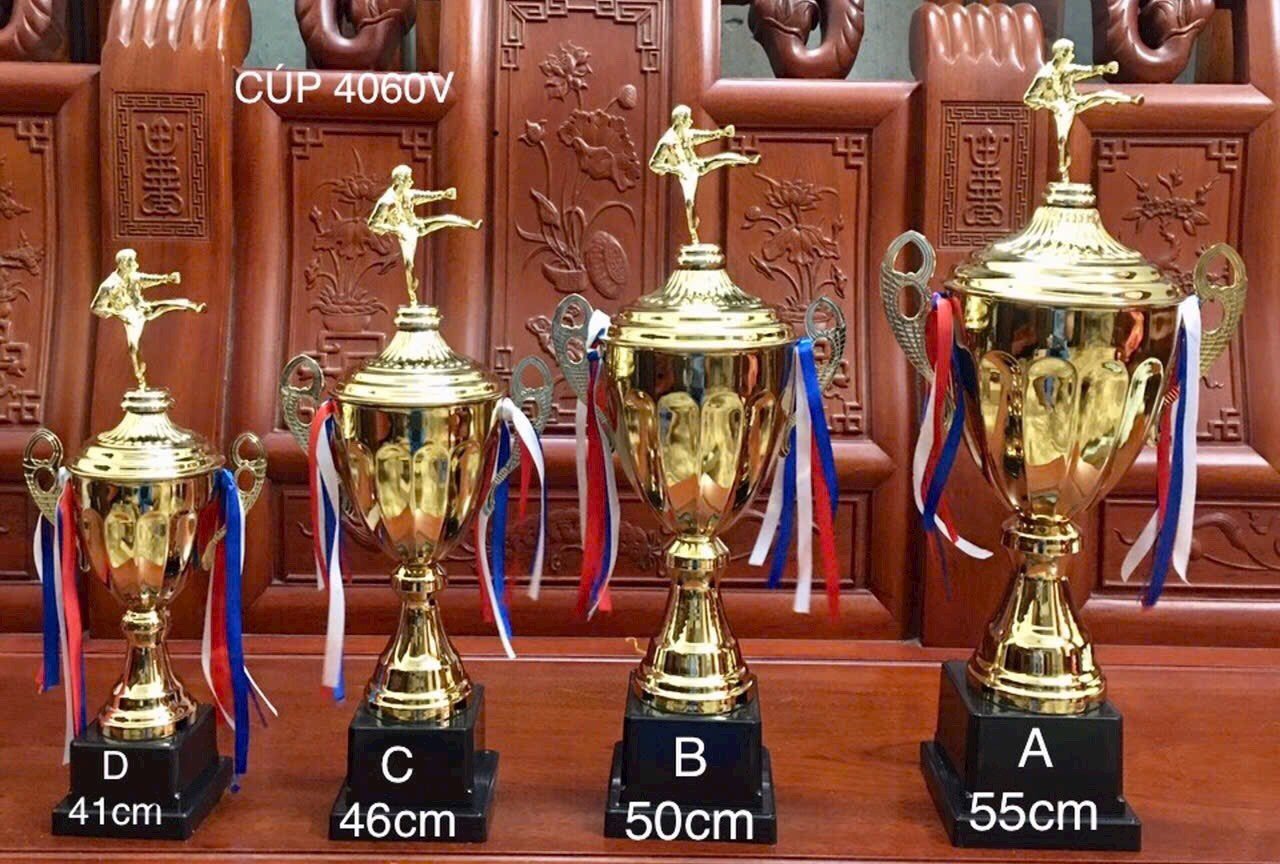 Cúp võ Vàng 4060V