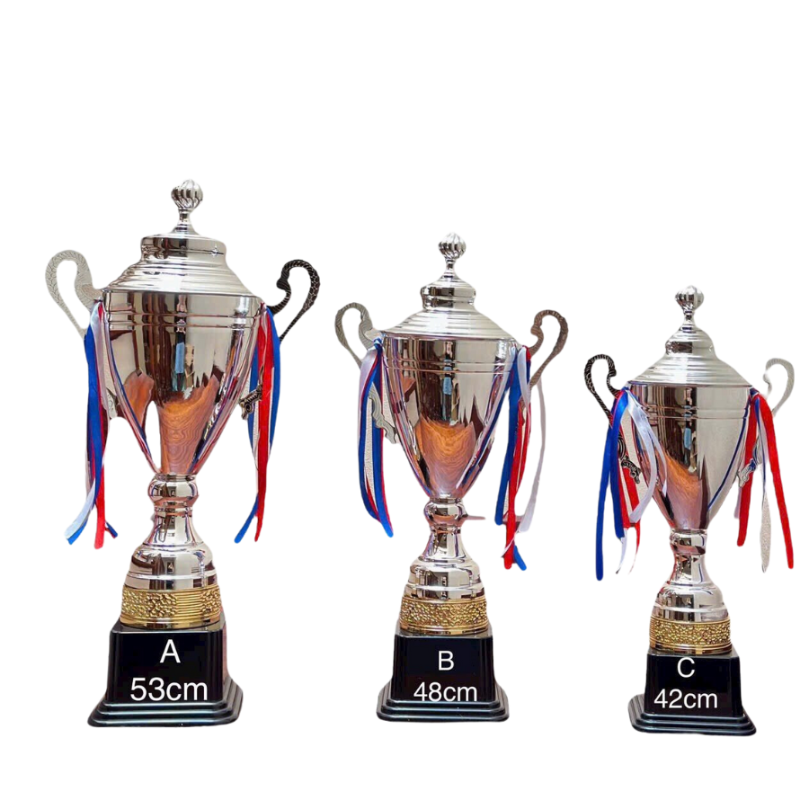 Cúp thể thao Bạc 2074