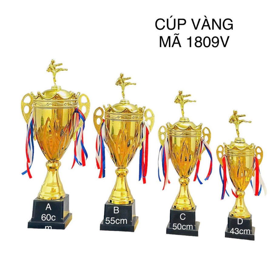 Cúp võ Vàng 1809V