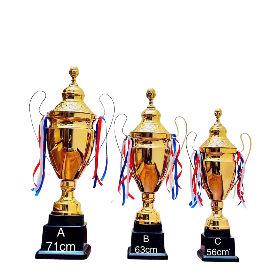 Cúp thể thao Vàng 2115