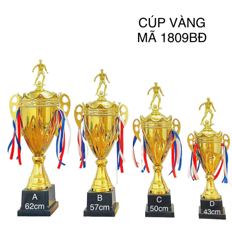 Cúp bóng đá Vàng 1809BD