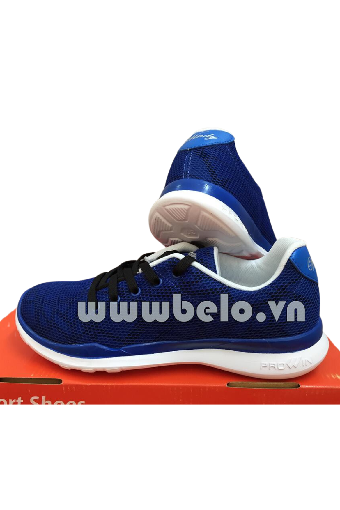 Giày chạy bộ Prowin nam Windy RS02 xanh biển thiết kế độc đáo