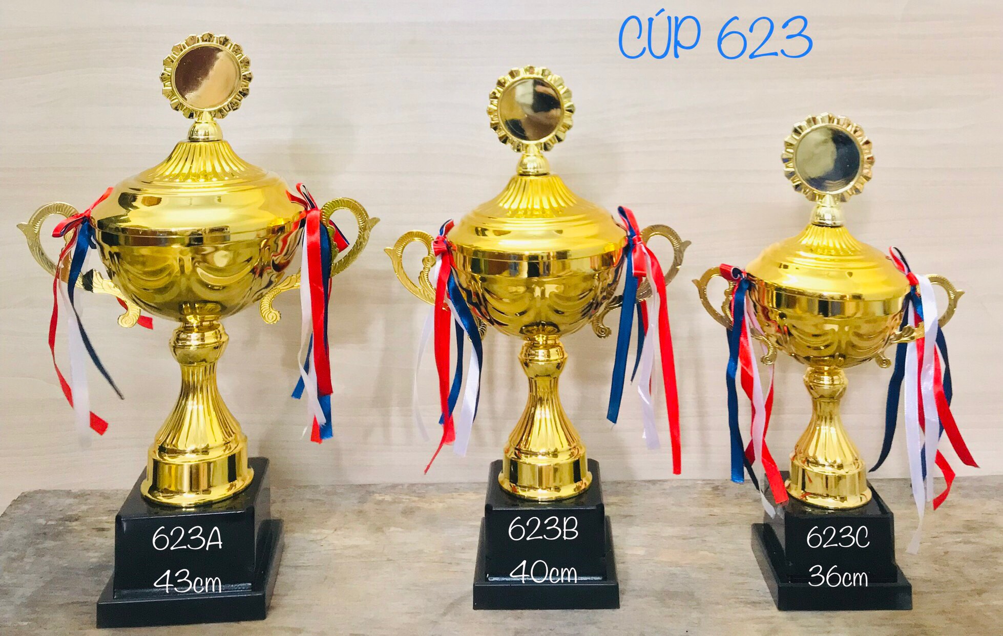 Cúp thể thao A mã 623