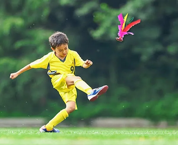 Môn đá cầu chinh