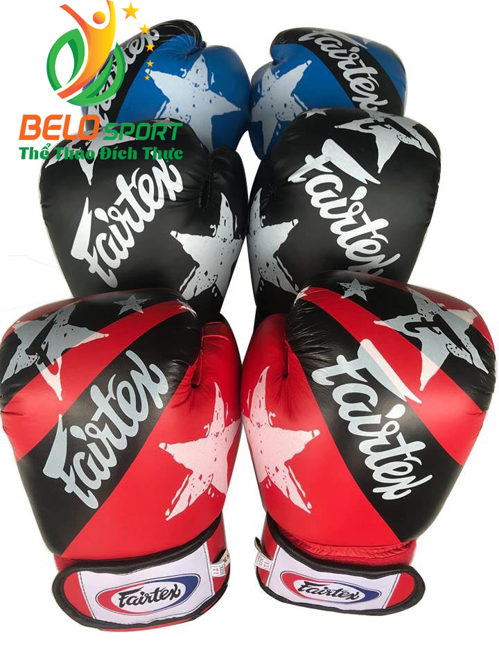 Găng tay boxing đấm bốc người lớn Fairter chính hãng cao cấp