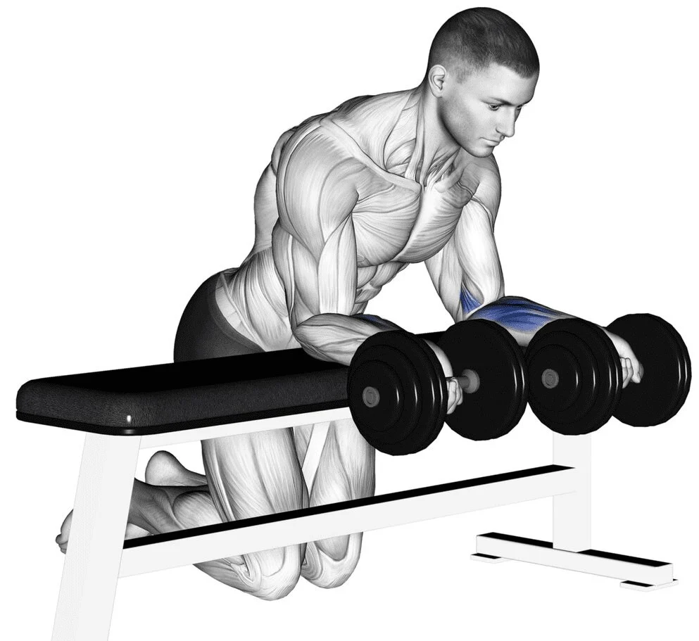 Dụng cụ tập cơ tay trước & cơ cẳng tay