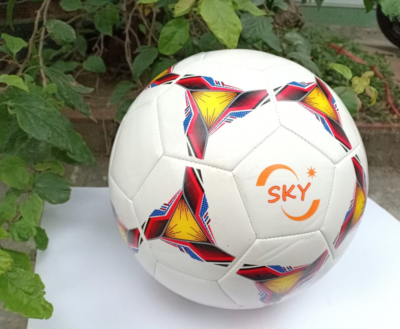 Quả Bóng đá France giá rẻ tập luyện màu trắng