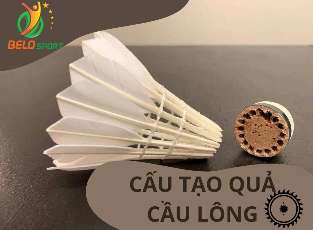 Khám phá cấu tạo quả cầu lông - Còn hơn cả nghệ thuật